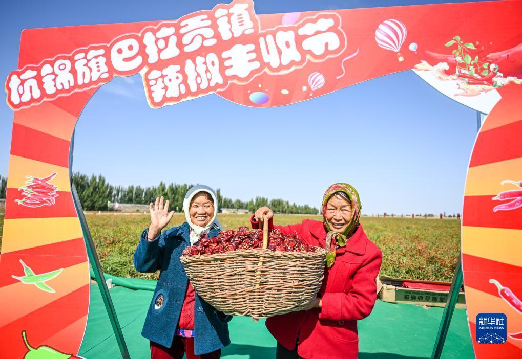 鸿丰娱乐登入